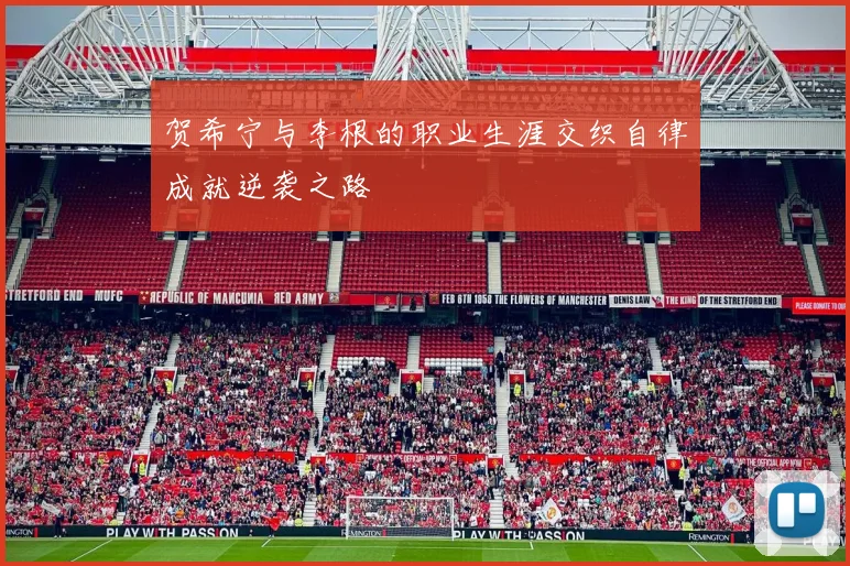 贺希宁与李根的职业生涯交织自律成就逆袭之路