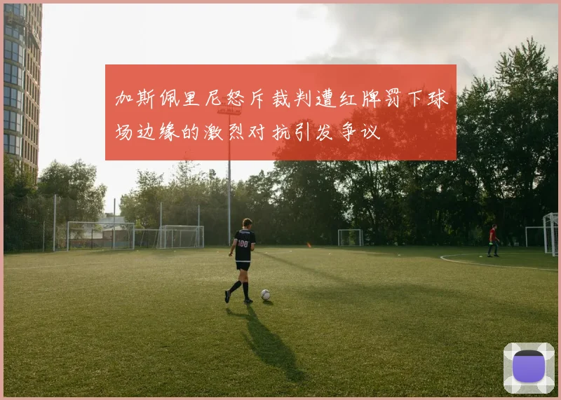 加斯佩里尼怒斥裁判遭红牌罚下球场边缘的激烈对抗引发争议