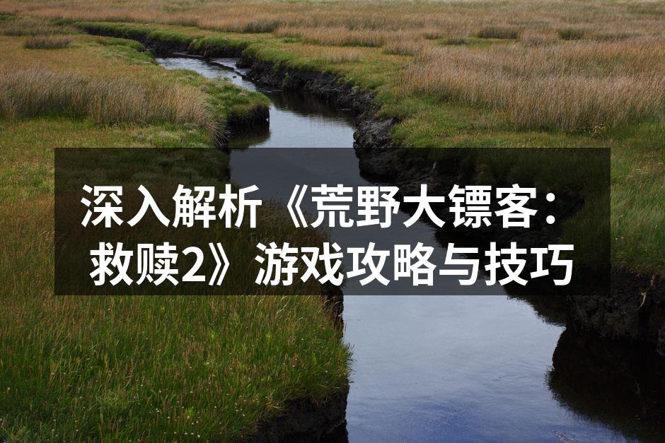 深入解析《荒野大镖客：救赎2》游戏攻略与